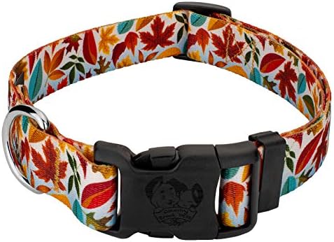 Country Brook Petz - Deluxe Brisk Autumn Dog Collar - Made in the S.U.A. - Colecție de toamnă minunată cu 7 design pentru care veți cădea