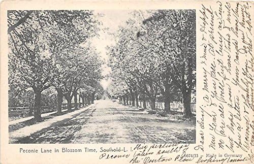 Southold, L.I., New York Postcard