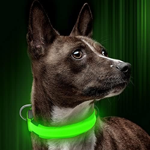Guler de câine LED, guler de lumină reglabil din nailon, guler de câine strălucitor reîncărcabil USB face ca câinii să fie