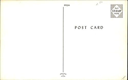 Admirând cărțile noastre poștale comice amuzante original original vintage poștal